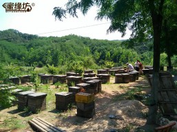 太行山區(qū)養(yǎng)殖基地