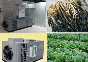 南寧專業的蔬菜烘干機批售 南寧蔬菜烘干房