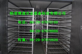 多功能烘干 果蔬烘干 西安烘干機(jī)